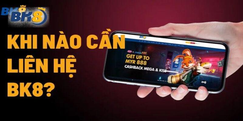 Lý do bạn nên liên hệ nhà cái bk8